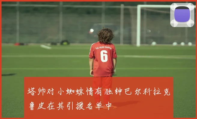 塔帅对小蜘蛛情有独钟巴尔科拉克鲁皮在其引援名单中