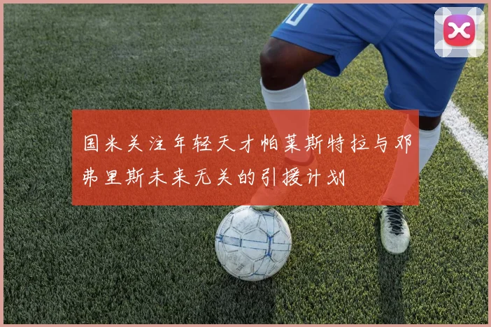 国米关注年轻天才帕莱斯特拉与邓弗里斯未来无关的引援计划